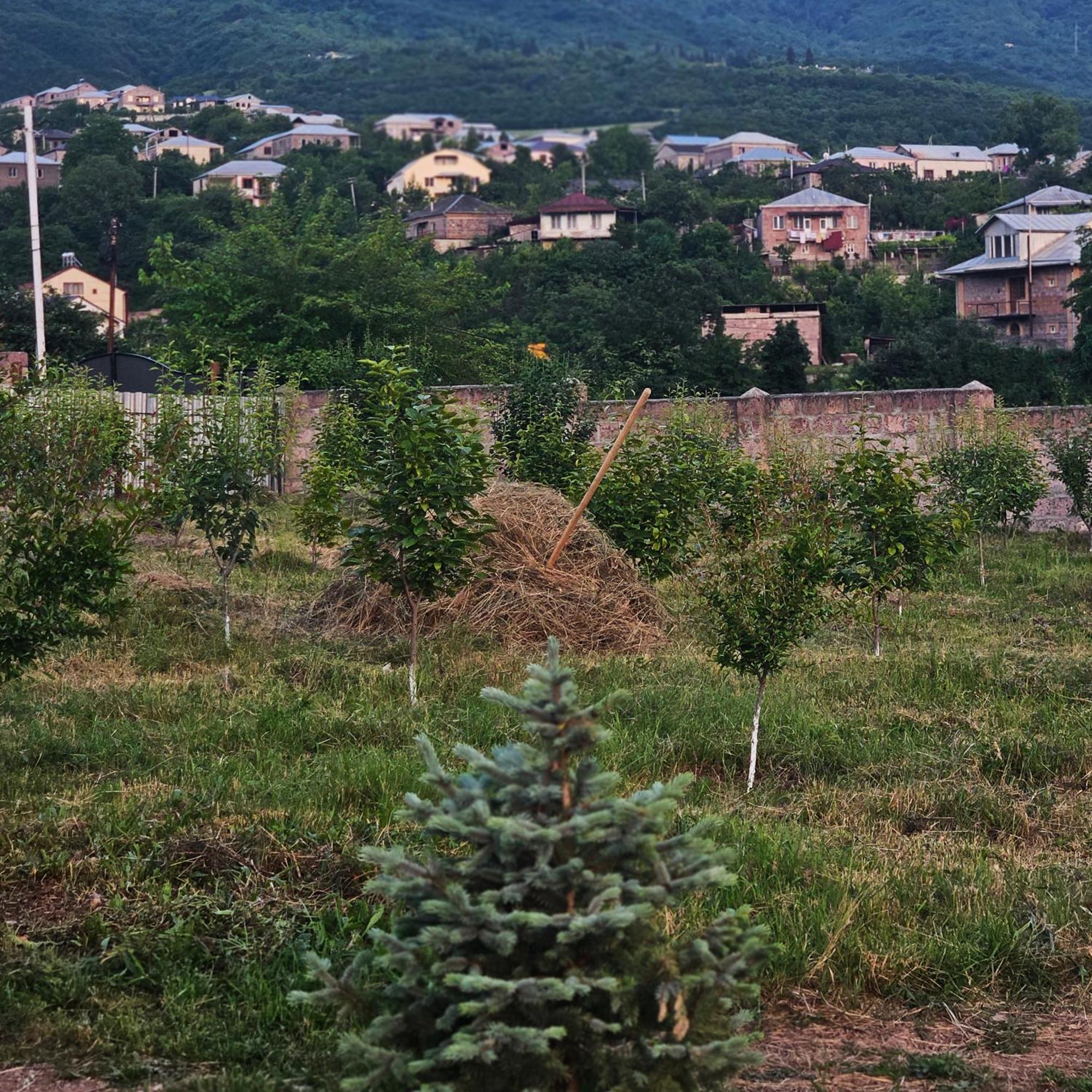 Alpha Rest House Ijevan Exterior foto